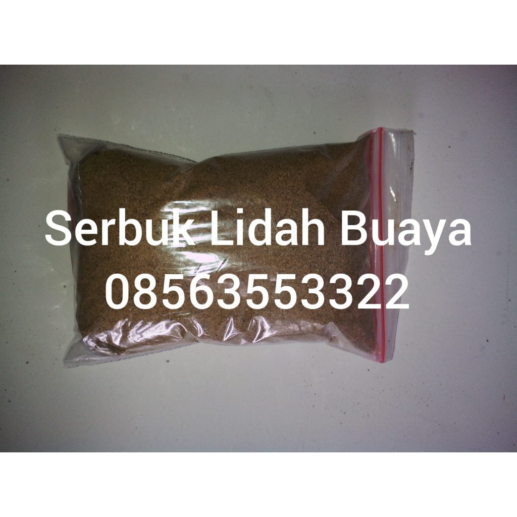 juall,serbuk,lidah,buaya,manfaat,lidah,buaya