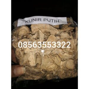 jual kunir putijh kering atau kunyit putih kering