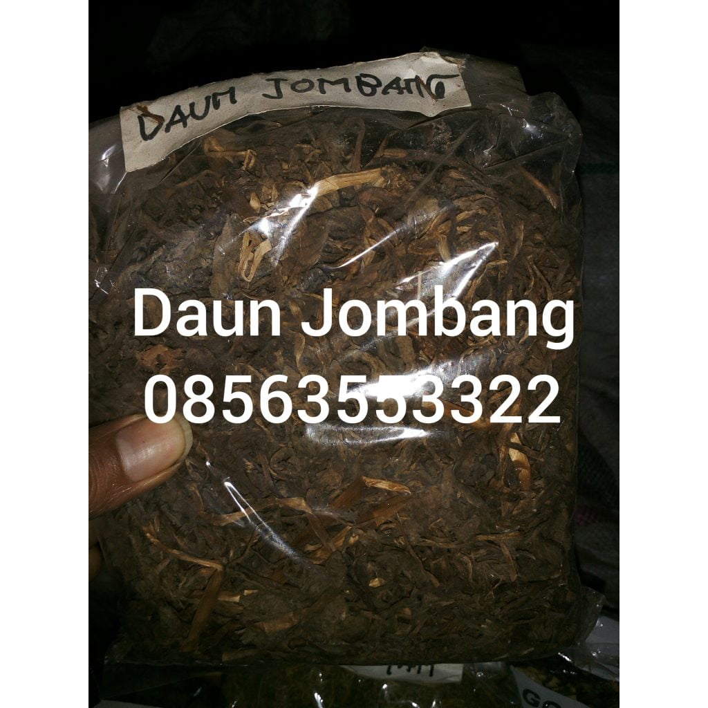 manfaat daun jombang