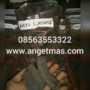 jual ramuan jantan perkasa