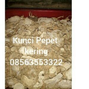 jual kunci pepet kering untuk kesehatan dan kecantikan