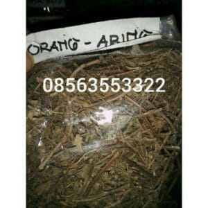 jual urang aring untuk kesehatn dan kecantikan