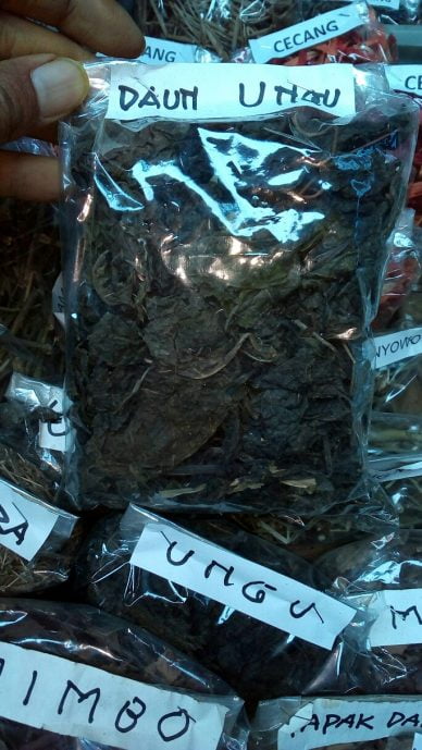 jual daun ungu kering