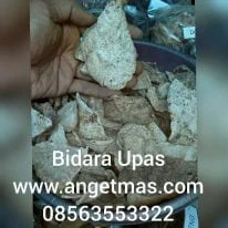 umbi bidara upas