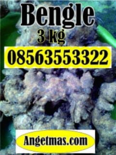 jual bengle segar
