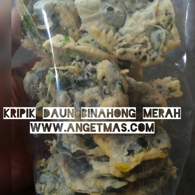 Kripik daun binahong merah