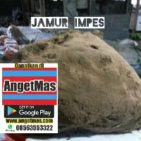 Jamur impes