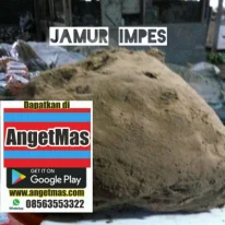 Jamur impes