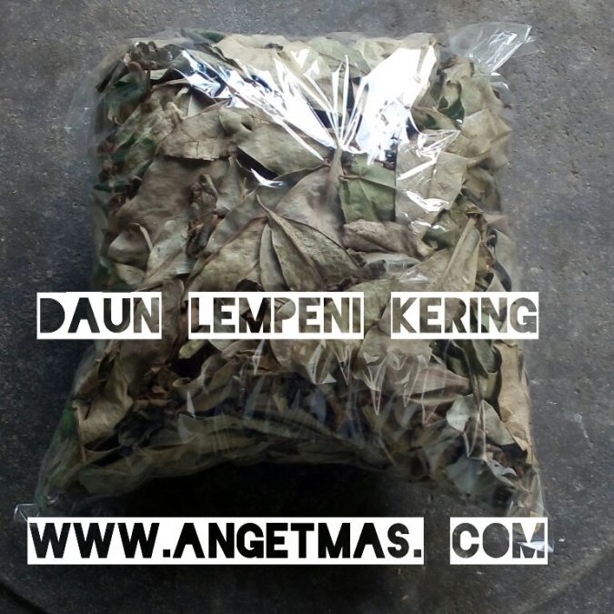 Daun lempeni kering