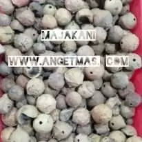 Jual majakani atau jenitri