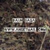 daun saga