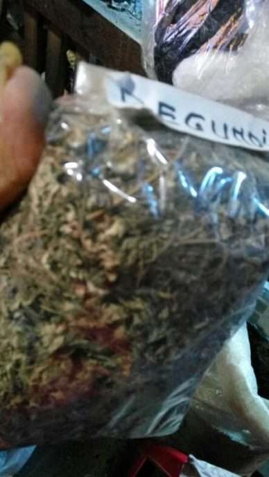 Jual legundi