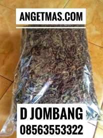 Jual daun jombang kering