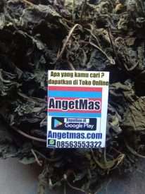 Jual daun insulin