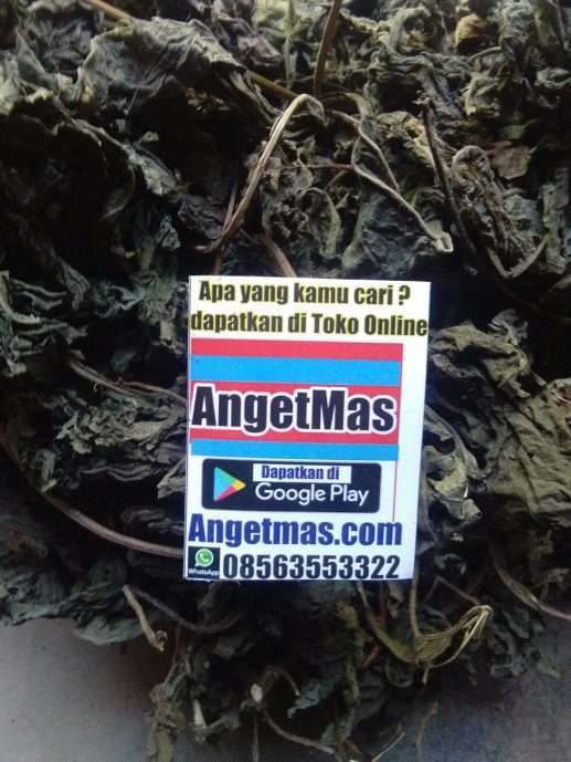 Jual daun insulin