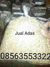 Adas Manis Atau Jintan Manis
