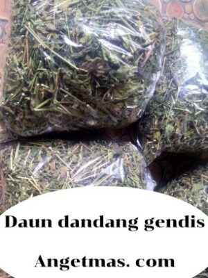 Jual daun dandang gendis kering