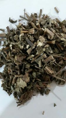 Daun Nilam kering