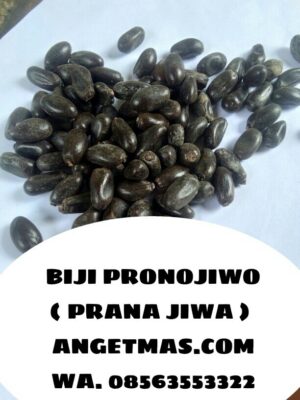Manfaat Biji Pronojiwo