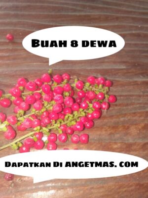 Buah 8 dewa