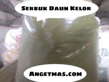 Serbuk Daun Kelor