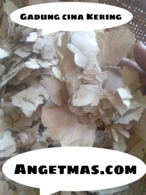 Jual gadung cina Kering