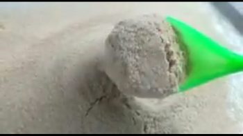 Jual Serbuk Temu Putih
