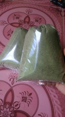 Serbuk daun dandang gendis