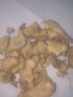 Read more about the article Umbi Dewa Kering