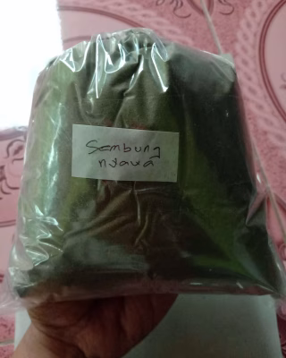 Serbuk Daun Sembung Nyawa 1kg