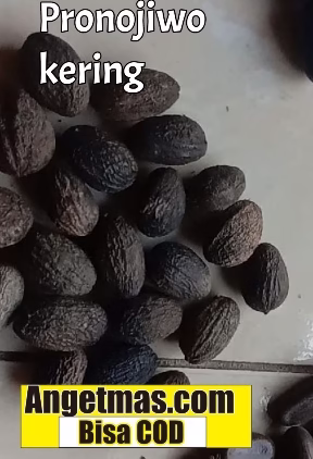 You are currently viewing Cara konsumsi buah pronojiwo