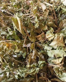 Daun bunga arum dalu kering